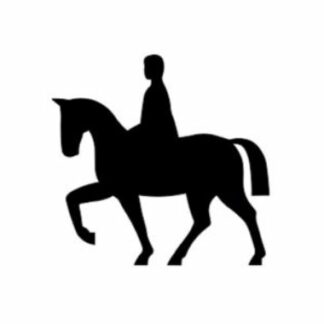 Horse and Rider - 11mm Loyalty Card Stamp - With 5 colour choices