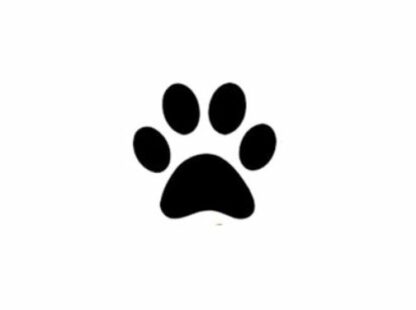 Paw Print - 11mm Loyalty Card Stamp - With 5 colour choices